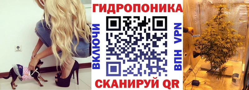 Виды наркоты Куртамыш Гашиш  Альфа ПВП  Мефедрон  Канабис 