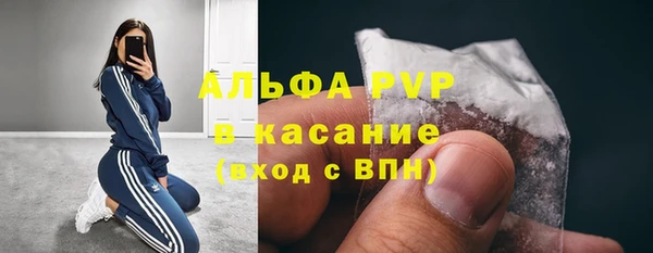 прущие грибы Кодинск