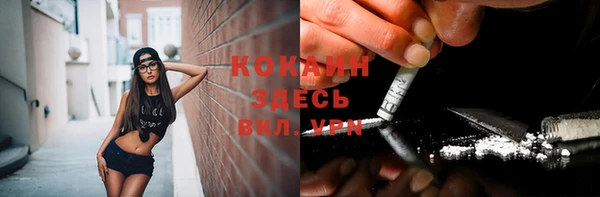 соль ск Пролетарск