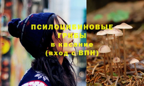 герыч Козловка