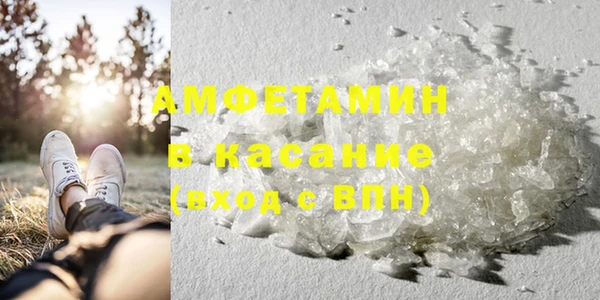 прущие грибы Кодинск