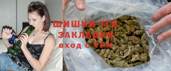 прущие грибы Кодинск