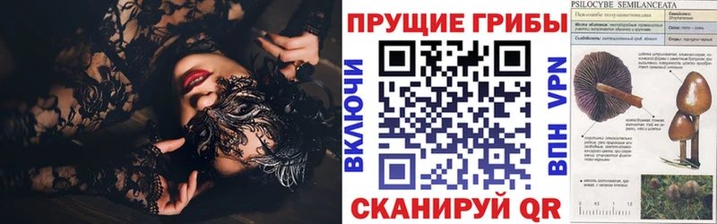 Галлюциногенные грибы мицелий  Куртамыш 